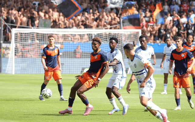 蒙彼利埃队在法国联赛中稳定发挥 蒙彼利埃队在法国联赛中稳定发挥